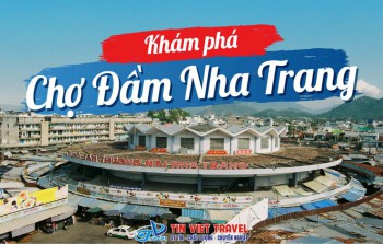 Chợ Đầm Nha Trang: Kinh Nghiệm Lang Thang & Săn Lùng Đặc Sản Biển