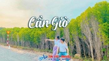 Đảo Khỉ Cần Giờ: Khám Phá Thiên Nhiên Hoang Dã & Gần Gũi Linh Trưởng