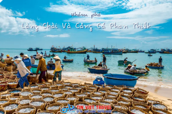 Khám Phá Làng Chài Và Cảng Cá Phan Thiết - Hơi Thở Cuộc Sống Miền Biển