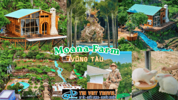Moana Farm Vũng Tàu – Điểm Đến Xanh Mát, Trải Nghiệm Độc Đáo