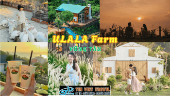 Ulala Farm Vũng Tàu – Nông Trại Xanh Mát Gây Sốt Giới Trẻ