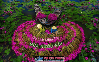 Du Lịch Miền Tây Mùa Nước Nổi: Thời Gian Và Địa Điểm Lý Tưởng