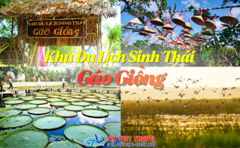 Khu Du Lịch Sinh Thái Gáo Giồng   cover