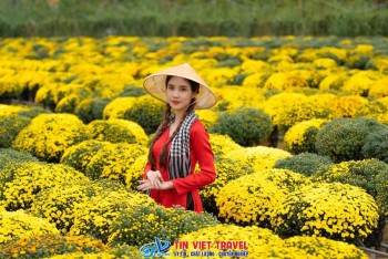 Làng Hoa Sa Đéc – Điểm Đến Độc Đáo Tại Đồng Bằng Sông Cửu Long