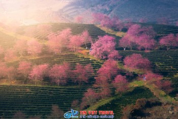 Cẩm Nang Du Lịch Sapa Tự Túc 3N2Đ: Ăn Ở, Di Chuyển Và Lịch Trình Chi Tiết