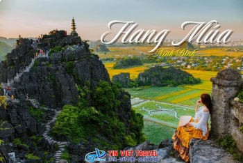 Kinh Nghiệm Leo Hang Múa Ninh Bình: Bí Kíp Vượt 500 Bậc Thang Không Mệt & Góc Sống Ảo Triệu View