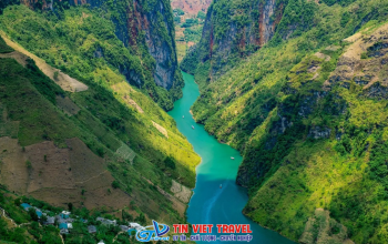 Kinh Nghiệm Du Lịch Sông Nho Quế & Hẻm Tu Sản Tự Túc: Thuê Thuyền, Đường Đi & Góc Sống Ảo