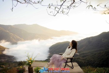 Cẩm Nang Săn Mây Tà Xùa (Sơn La): Bí Kíp "Đọc Vị" Thời Tiết, Tọa Độ Sống Ảo & Kỹ Nghệ Nhiếp Ảnh Điện Ảnh