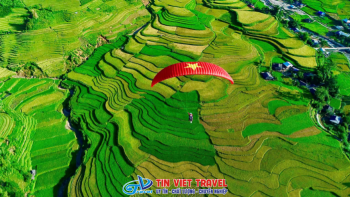 Chinh Phục Bầu Trời Tây Bắc: Trải Nghiệm Nhảy Dù Lượn Đèo Khau Phạ & Kỹ Nghệ Ghi Hình "Bay Trên Mùa Vàng"