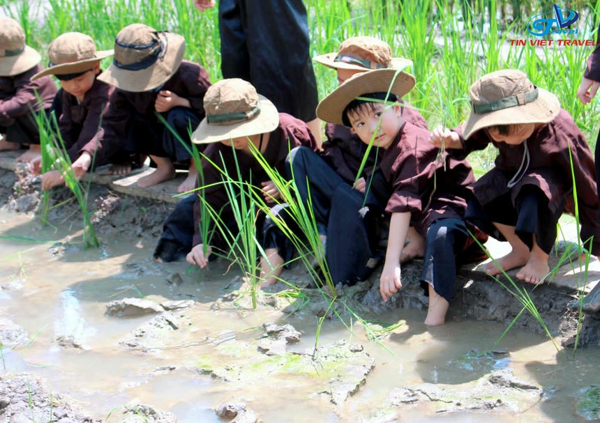 trong lua tai nong trai rong