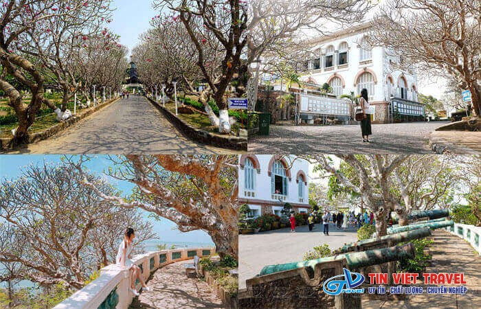 bach dinh vung tau 2