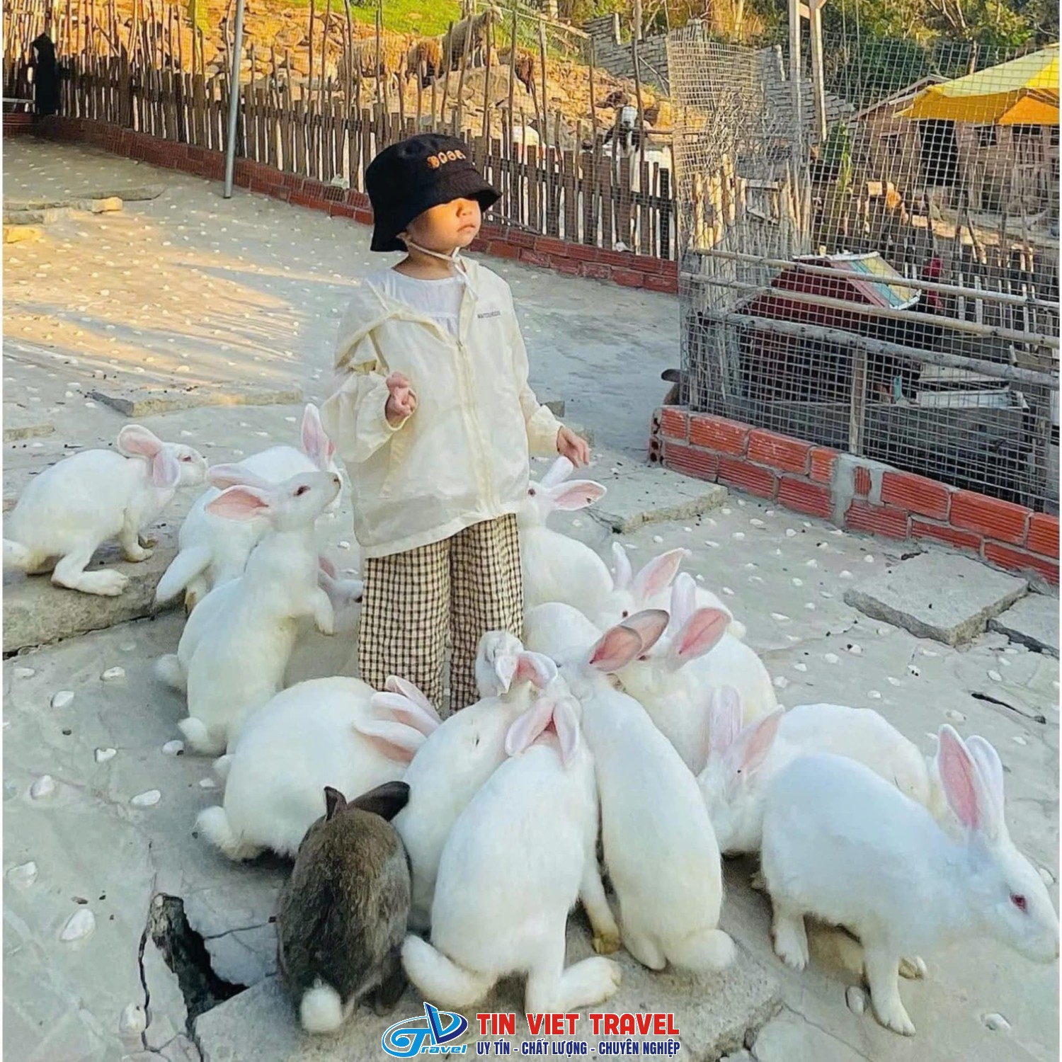 ulalafarm 2