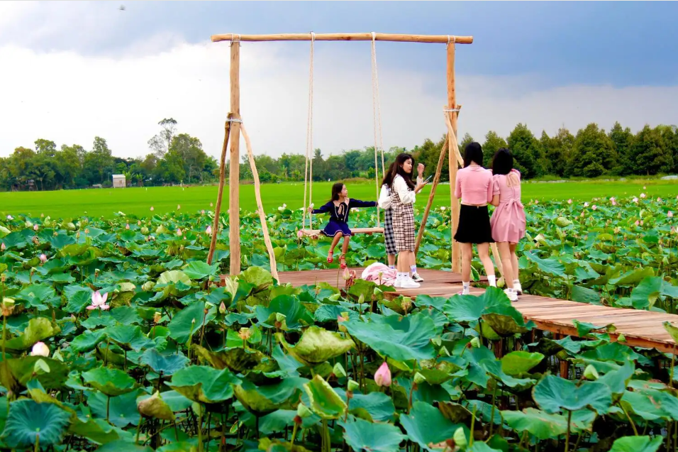 khu du lich dong sen thap muoi