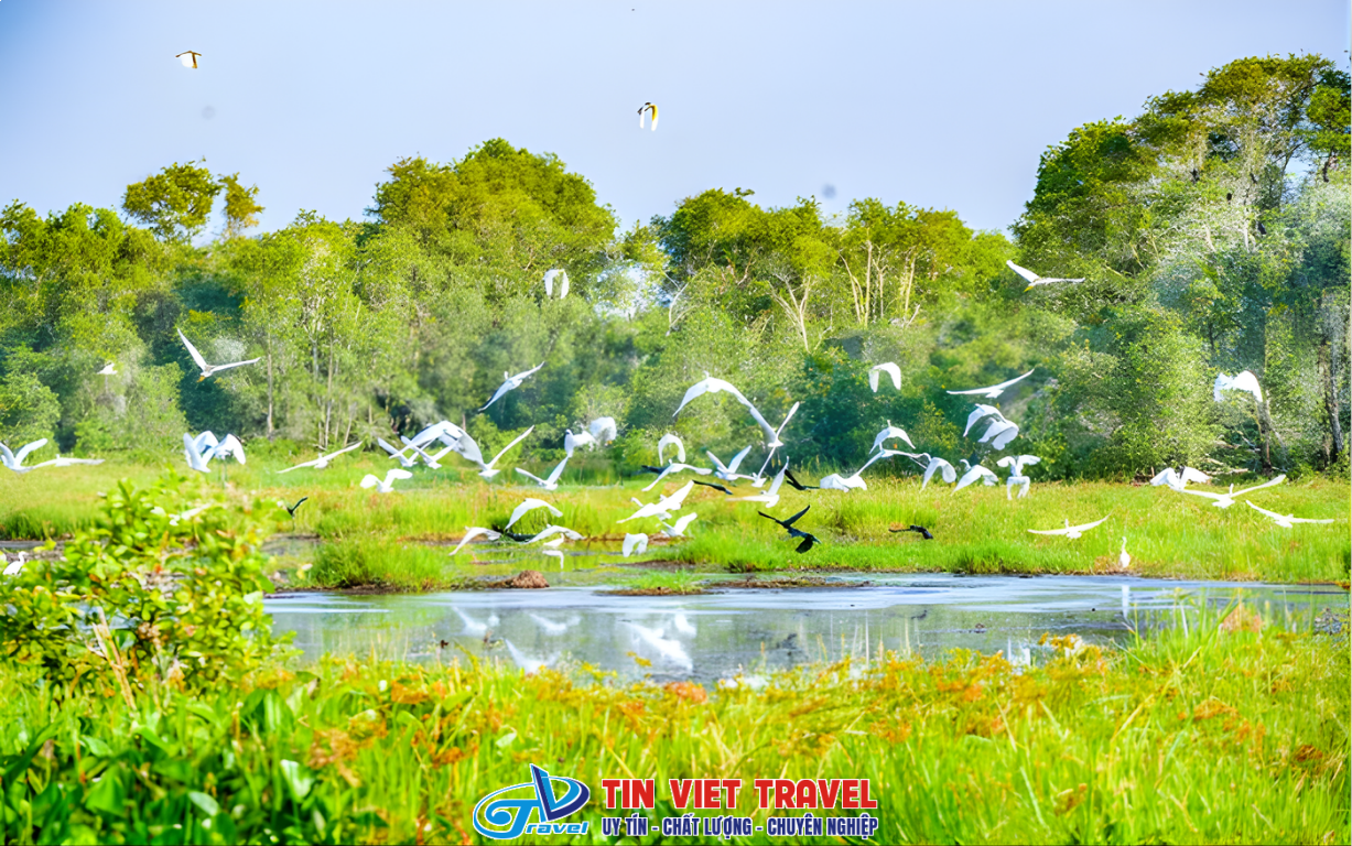 khu du lich tram chim 2