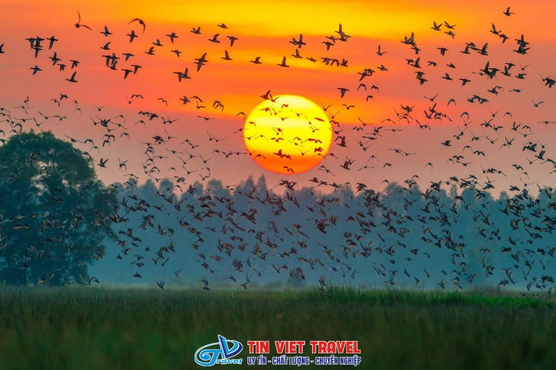 khu du lich tram chim 5