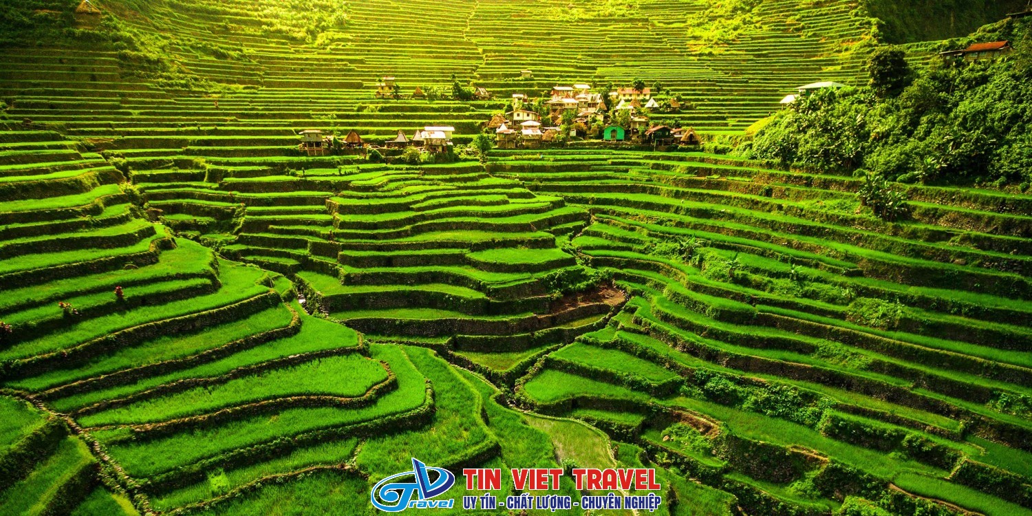 sapa mùa hè ruộng bậc thang