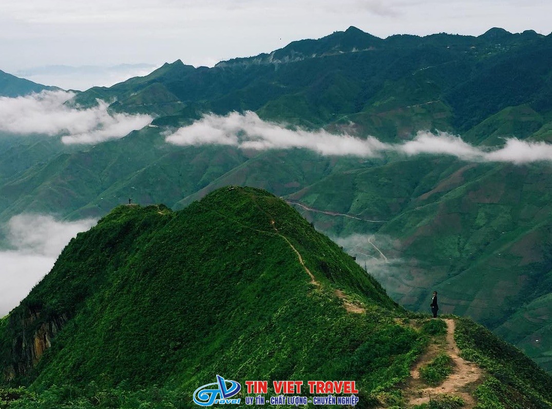 Sống lưng khủng long Tà Xùa