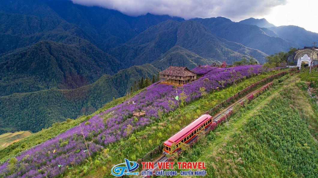 Thung lũng Mường Hoa