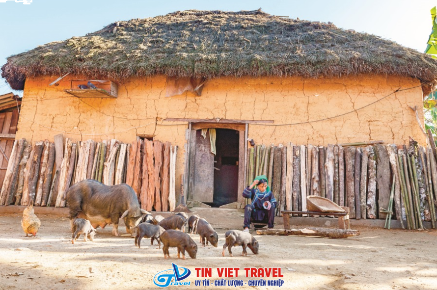 Kiến trúc nhà Trình Tường 3