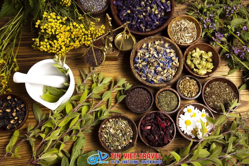 Nguyên liệu thuốc lá tắm của người Dao Đỏ