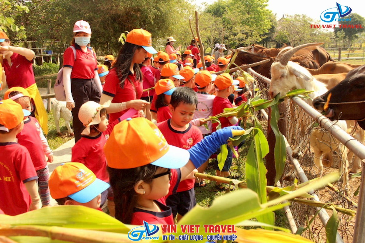 hoat dong tai nong trang xanh