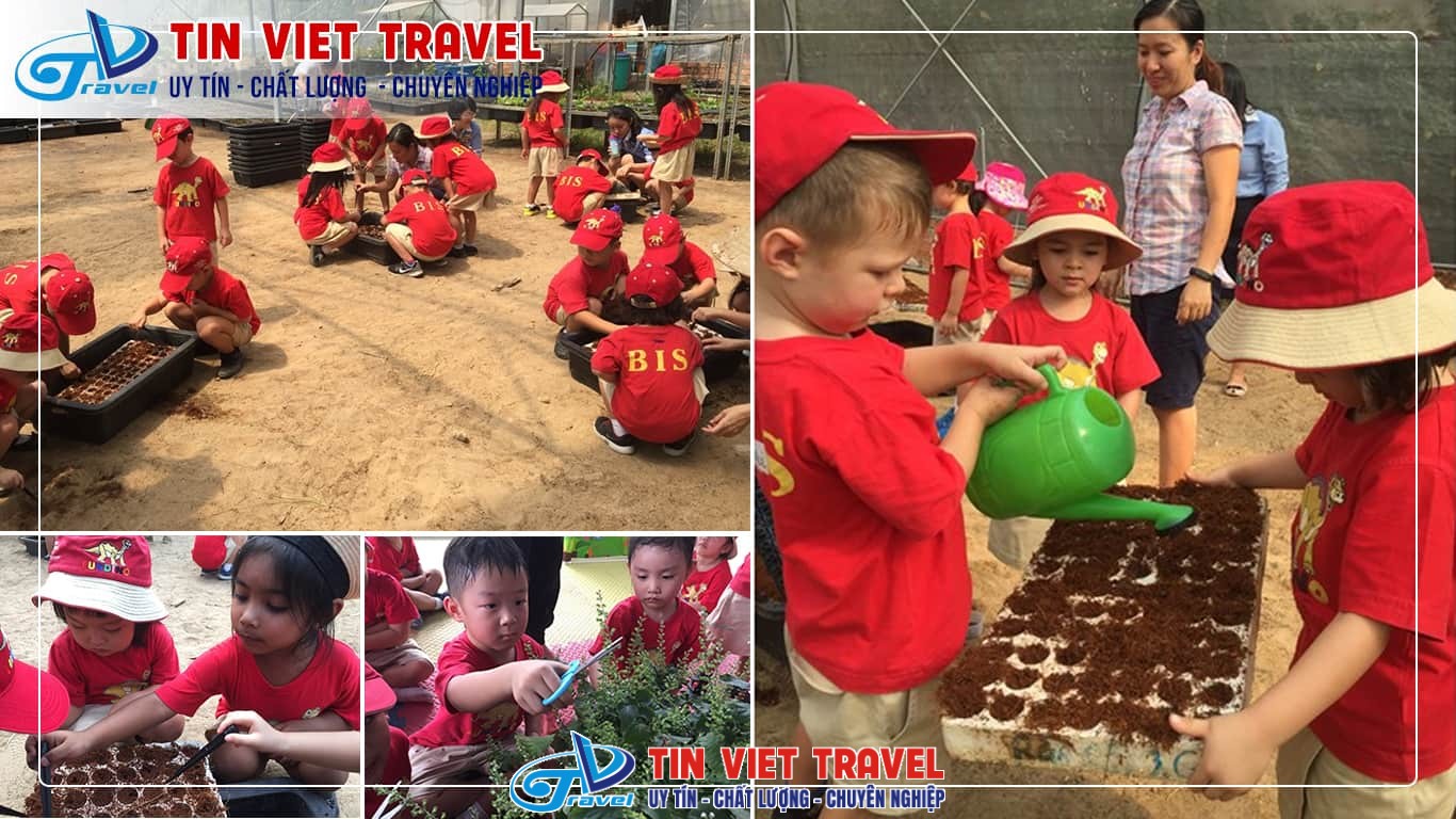 Ladybug Farm (Nông Trại Cánh Cam)