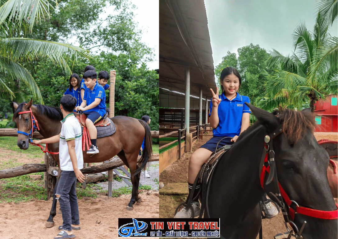 cam my farm 17
