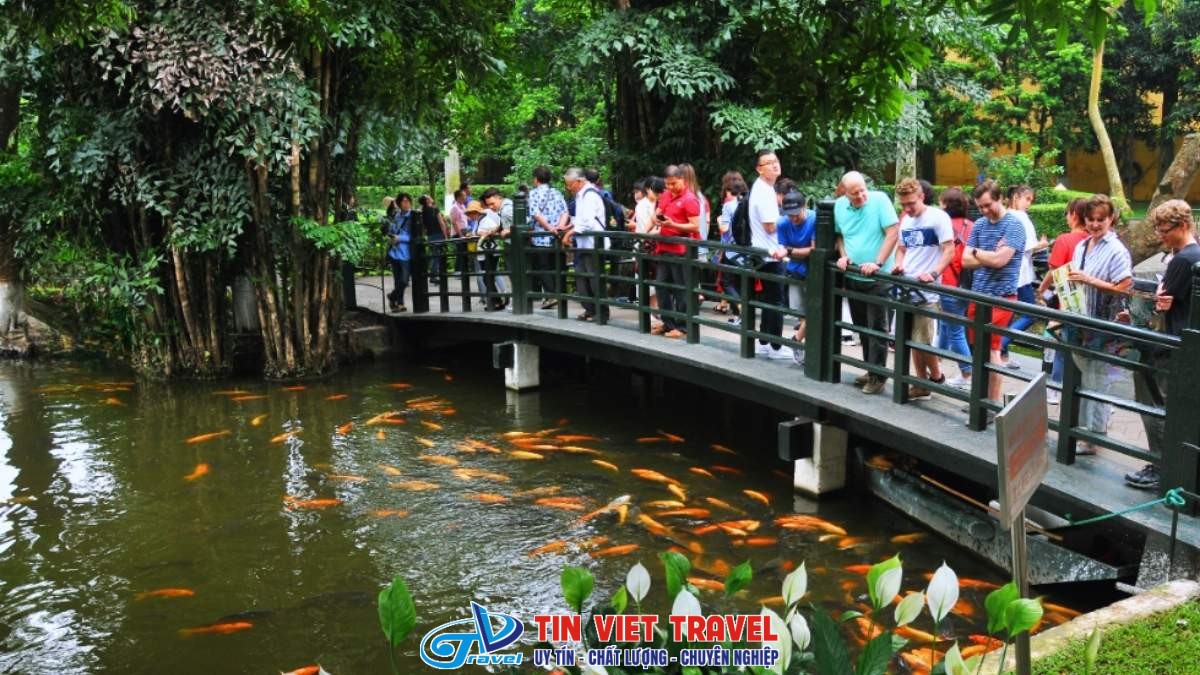 Ao cá Bác Hồ