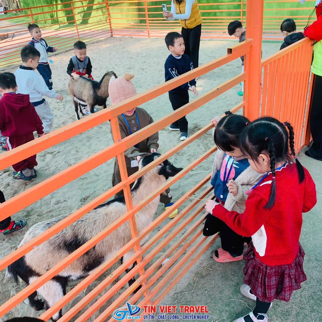Cánh Buồm Xanh 10